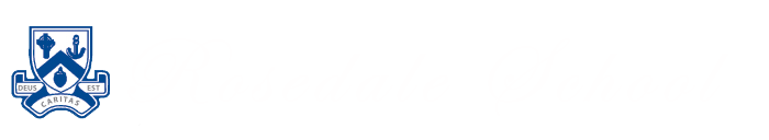 Light Logo